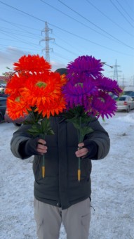 Постер превью истории